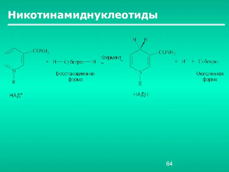 Никотинамиднуклеотиды