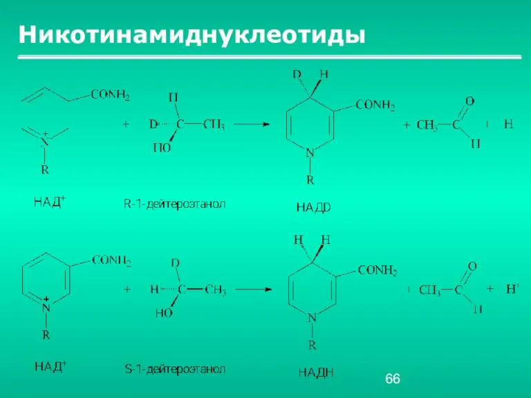 Никотинамиднуклеотиды