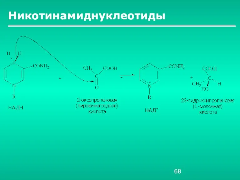 Никотинамиднуклеотиды