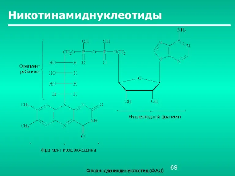 Никотинамиднуклеотиды