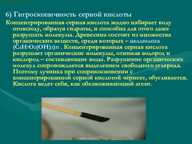 6) Гигроскопичность серной кислоты Концентрированная серная кислота жадно набирает воду отовсюду, образуя