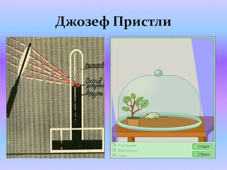 Джозеф Пристли