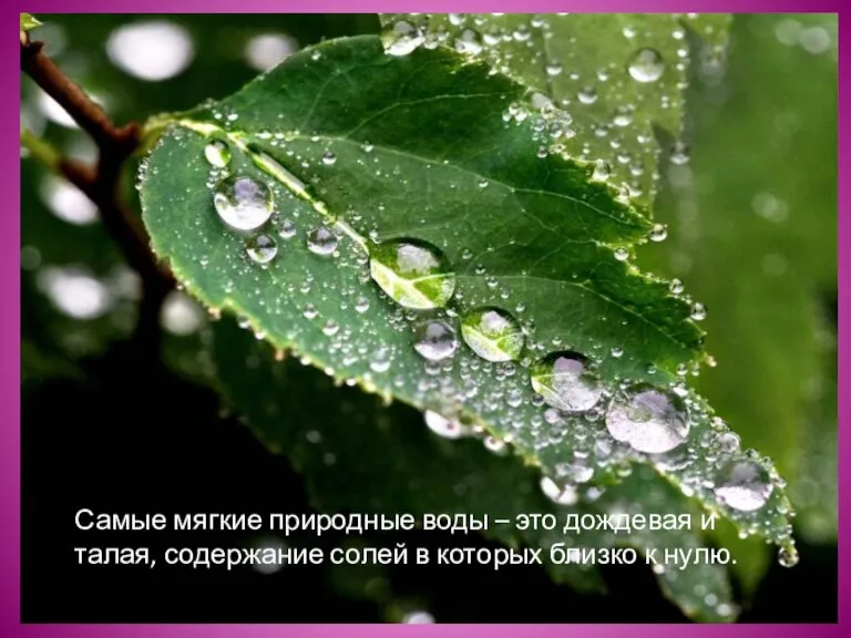 Самые мягкие природные воды – это дождевая и талая, содержание солей в которых близко к нулю.