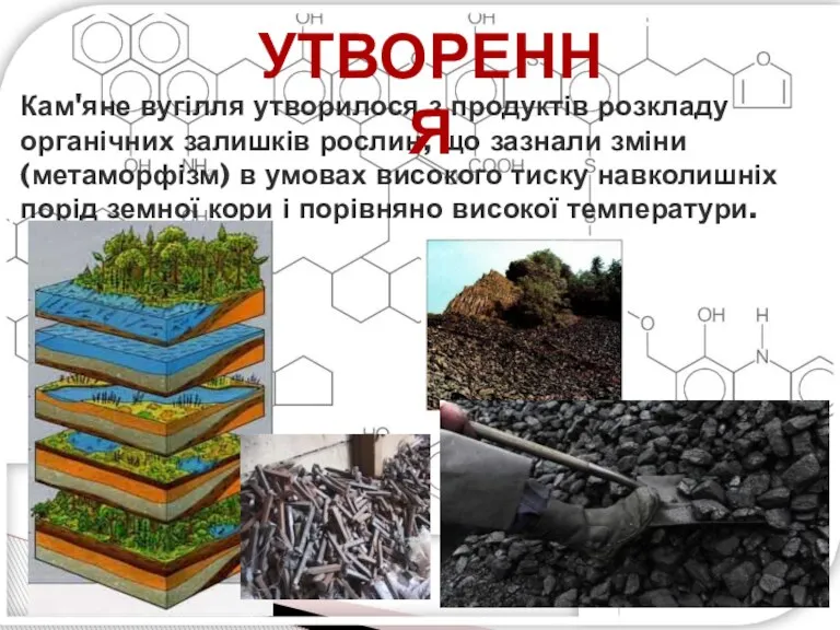 Кам'яне вугілля утворилося з продуктів розкладу органічних залишків рослин, що зазнали зміни