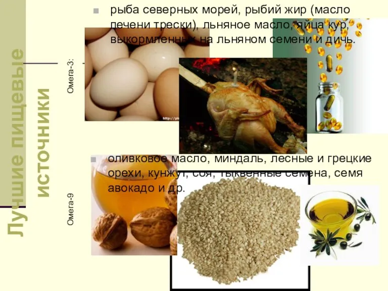 Лучшие пищевые источники Омега-3: Омега-9 рыба северных морей, рыбий жир (масло печени