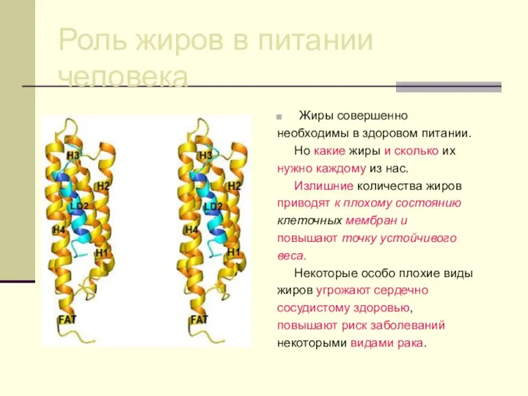 Роль жиров в питании человека Жиры совершенно необходимы в здоровом питании. Но