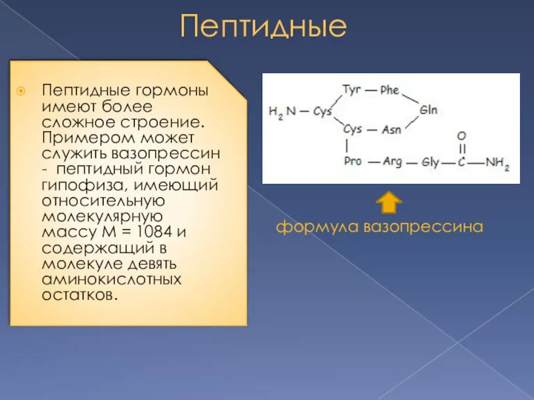 Пептидные Пептидные гормоны имеют более сложное строение. Примером может служить вазопрессин -