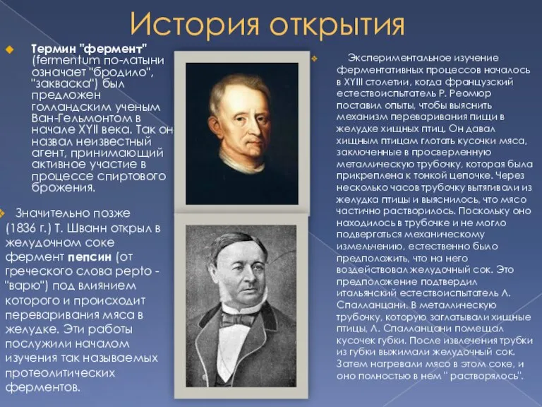 История открытия Термин "фермент" (fermentum по-латыни означает "бродило", "закваска") был предложен голландским