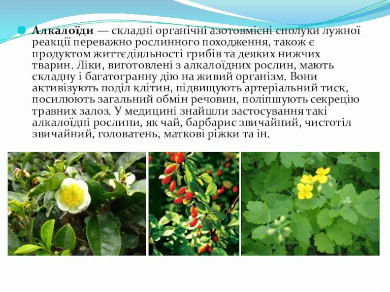 Алкалоїди — складні органічні азотовмісні сполуки лужної реакції переважно рослинного походження, також