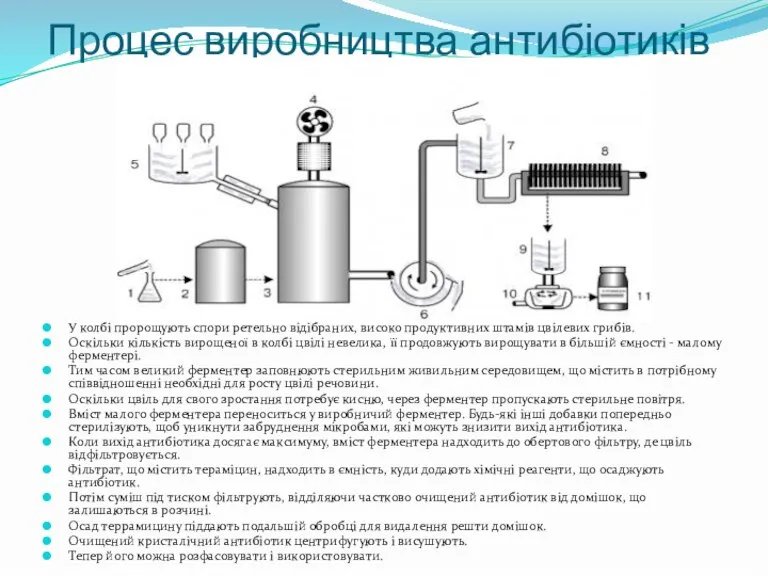 У колбі пророщують спори ретельно відібраних, високо продуктивних штамів цвілевих грибів. Оскільки