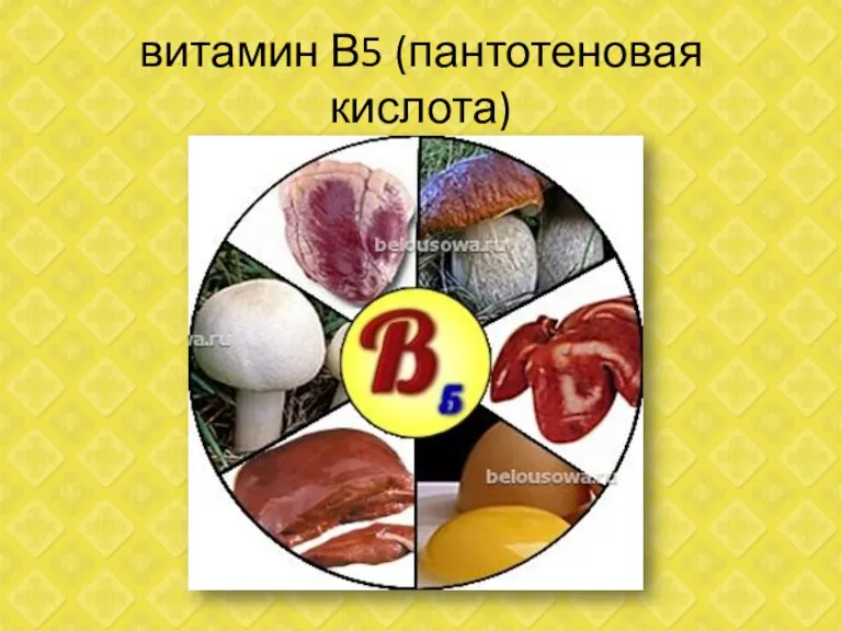 витамин В5 (пантотеновая кислота)