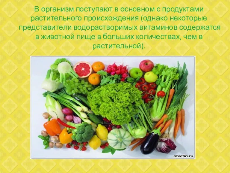 В организм поступают в основном с продуктами растительного происхождения (однако некоторые представители