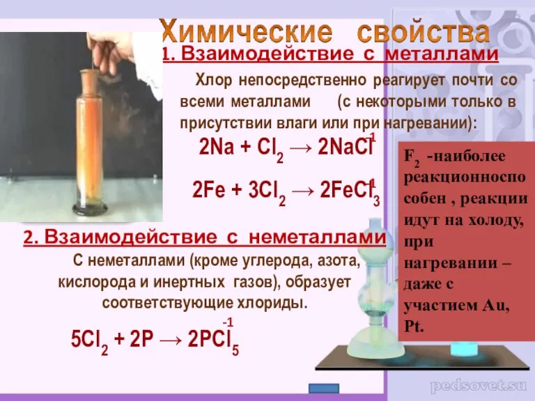 1. Взаимодействие с металлами Хлор непосредственно реагирует почти со всеми металлами (с