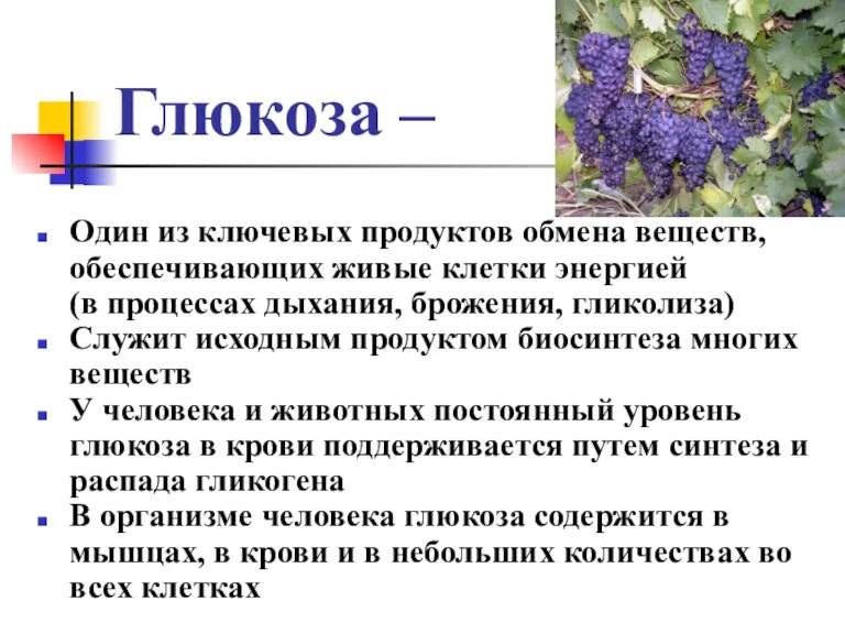 Глюкоза – Один из ключевых продуктов обмена веществ, обеспечивающих живые клетки энергией