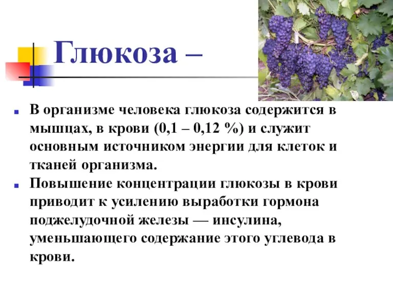 Глюкоза – В организме человека глюкоза содержится в мышцах, в крови (0,1