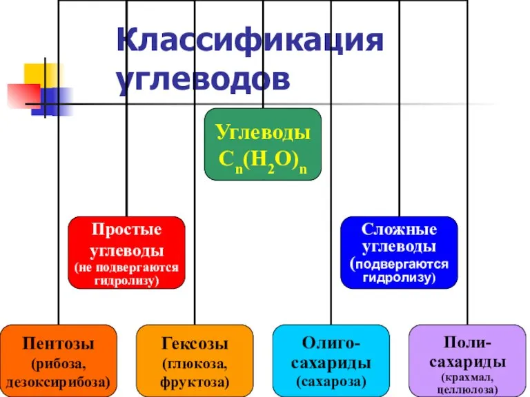 Классификация углеводов