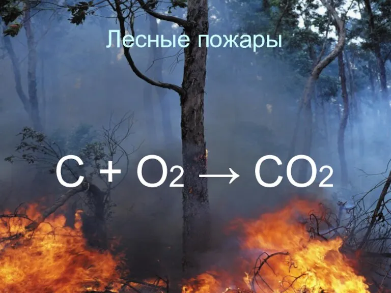 Лесные пожары C + O2 → CO2