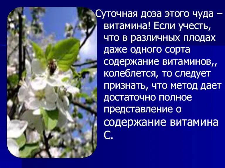 Суточная доза этого чуда –витамина! Если учесть, что в различных плодах даже