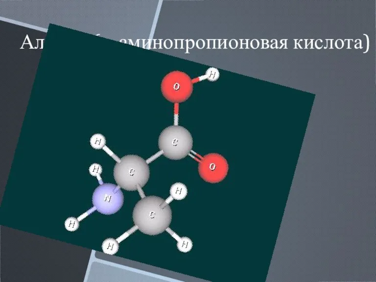 Аланин (α-аминопропионовая кислота)