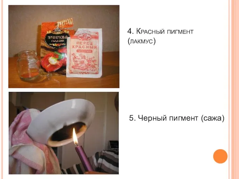 4. Красный пигмент (лакмус) 5. Черный пигмент (сажа)