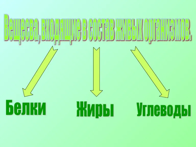 Вещесва, входящие в состав живых организмов. Белки Жиры Углеводы