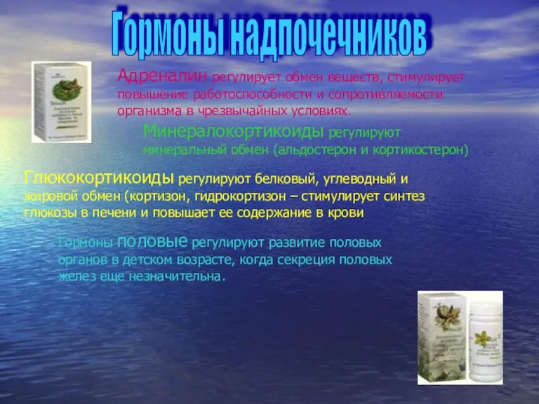 Гормоны надпочечников Адреналин регулирует обмен веществ, стимулирует повышение работоспособности и сопротивляемости организма