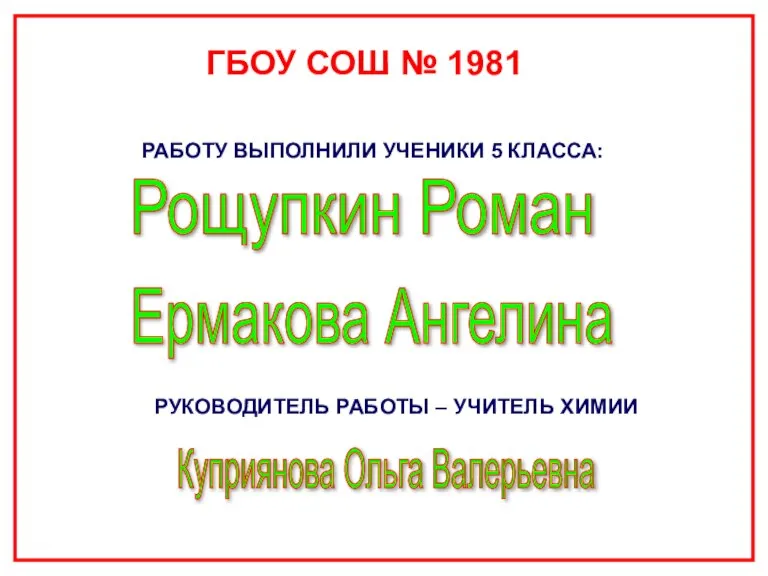 РАБОТУ ВЫПОЛНИЛИ УЧЕНИКИ 5 КЛАССА: РУКОВОДИТЕЛЬ РАБОТЫ – УЧИТЕЛЬ ХИМИИ Рощупкин Роман