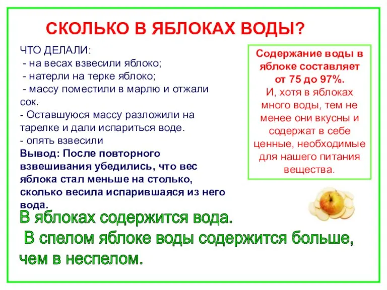 СКОЛЬКО В ЯБЛОКАХ ВОДЫ? ЧТО ДЕЛАЛИ: - на весах взвесили яблоко; -