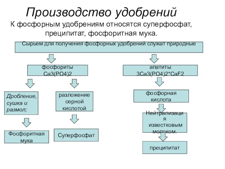 Производство удобрений К фосфорным удобрениям относятся суперфосфат, преципитат, фосфоритная мука. Сырьем для