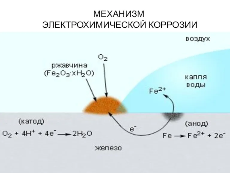 МЕХАНИЗМ ЭЛЕКТРОХИМИЧЕСКОЙ КОРРОЗИИ