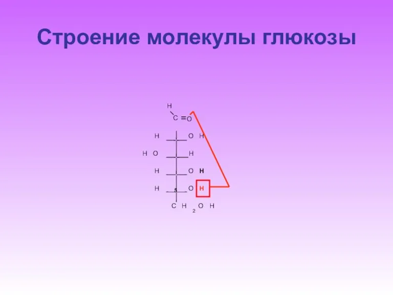 Строение молекулы глюкозы C H O O H H H H O