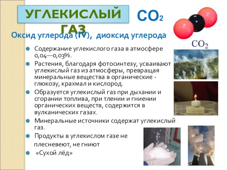 УГЛЕКИСЛЫЙ ГАЗ Содержание углекислого газа в атмосфере 0,04—0,03%. Растения, благодаря фотосинтезу, усваивают