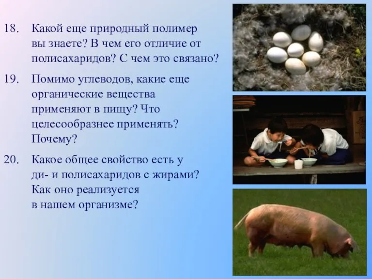 Какой еще природный полимер вы знаете? В чем его отличие от полисахаридов?