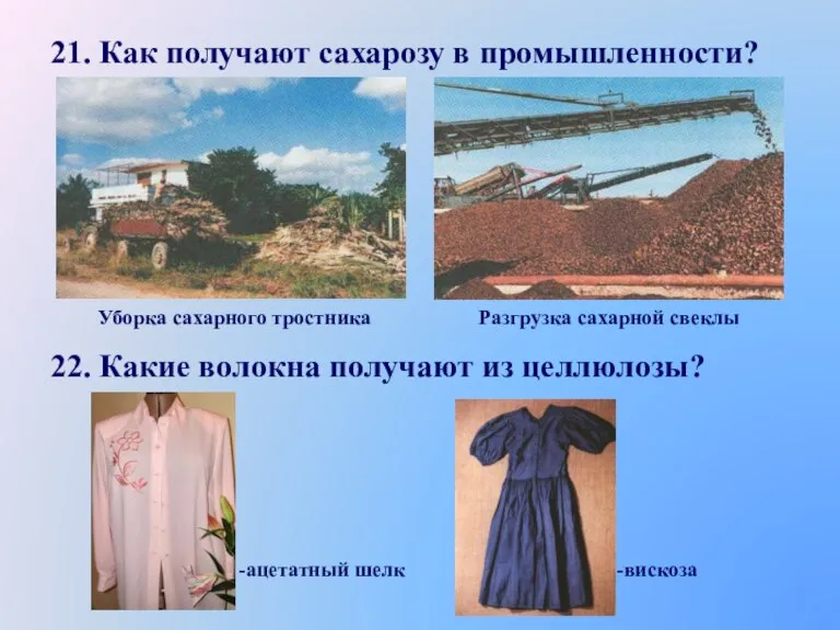 21. Как получают сахарозу в промышленности? 22. Какие волокна получают из целлюлозы?