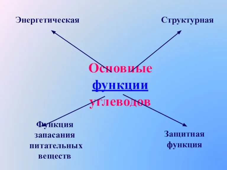 Основные функции углеводов Энергетическая Структурная Функция запасания питательных веществ Защитная функция