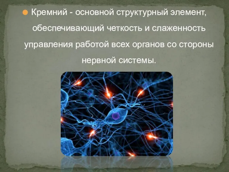 Кремний - основной структурный элемент, обеспечивающий четкость и слаженность управления работой всех