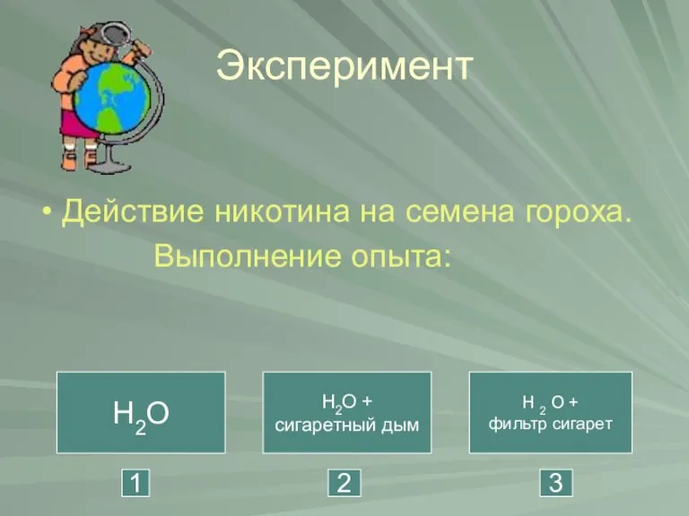 Эксперимент Действие никотина на семена гороха. Выполнение опыта: H2O H2O + сигаретный