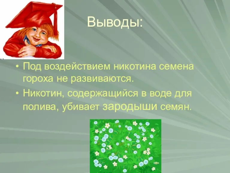 Выводы: Под воздействием никотина семена гороха не развиваются. Никотин, содержащийся в воде