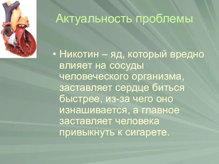 Никотин – яд, который вредно влияет на сосуды человеческого организма, заставляет сердце