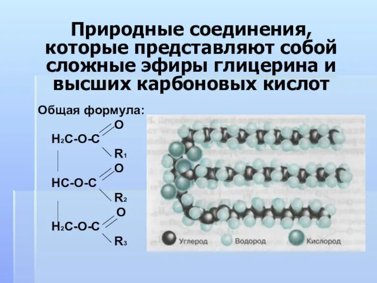 Общая формула: О Н2С-О-С R1 О НС-О-С R2 О Н2С-О-С R3 Природные