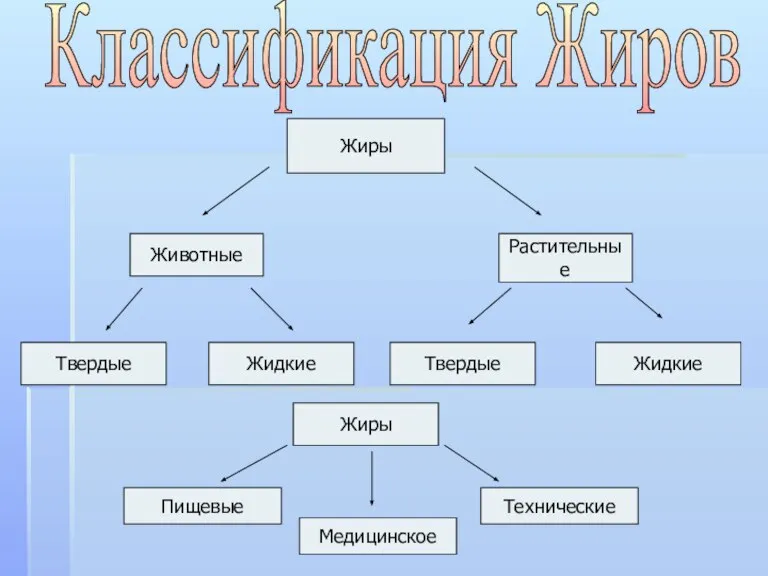 Классификация Жиров Жиры Животные Растительные Твердые Жидкие Твердые Жидкие Жиры Пищевые Медицинское Технические