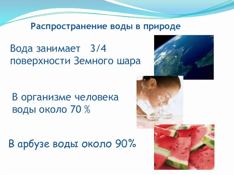 Распространение воды в природе Вода занимает 3/4 поверхности Земного шара В организме