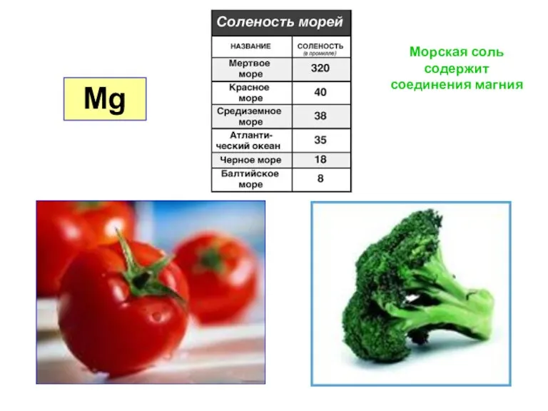 Mg Морская соль содержит соединения магния