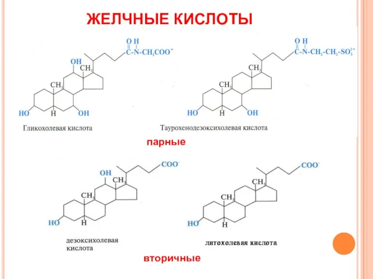 ЖЕЛЧНЫЕ КИСЛОТЫ вторичные парные