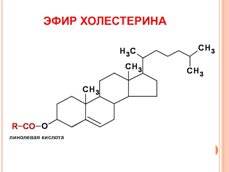 ЭФИР ХОЛЕСТЕРИНА линолевая кислота