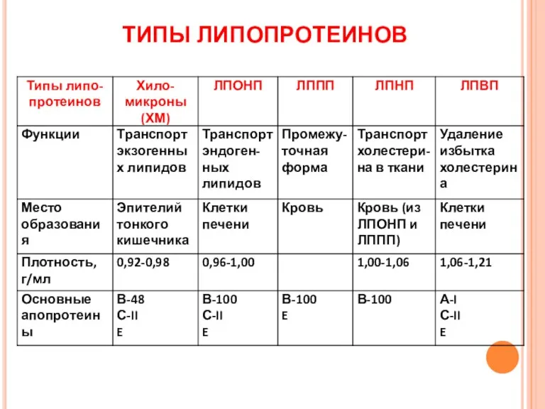 ТИПЫ ЛИПОПРОТЕИНОВ