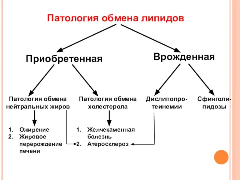 Патология обмена липидов Приобретенная Врожденная Патология обмена нейтральных жиров Патология обмена холестерола