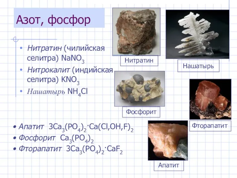 Нитратин (чилийская селитра) NaNO3 Нитрокалит (индийская селитра) KNO3 Нашатырь NH4Cl Апатит 3Ca3(PO4)2·Ca(Cl,OH,F)2