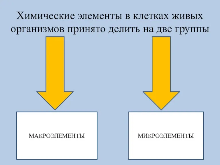 Химические элементы в клетках живых организмов принято делить на две группы МАКРОЭЛЕМЕНТЫ МИКРОЭЛЕМЕНТЫ