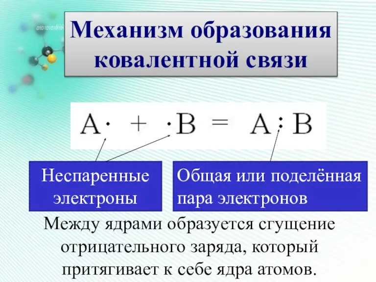 Механизм образования ковалентной связи Неспаренные электроны Общая или поделённая пара электронов Между